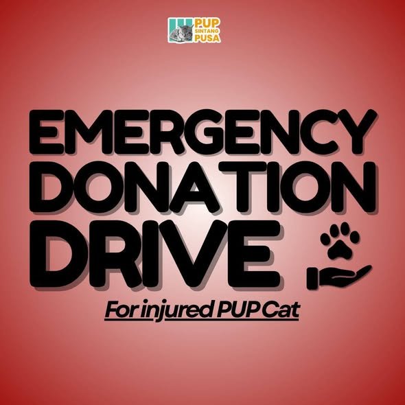 emergency_dd