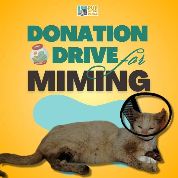 miming_dd